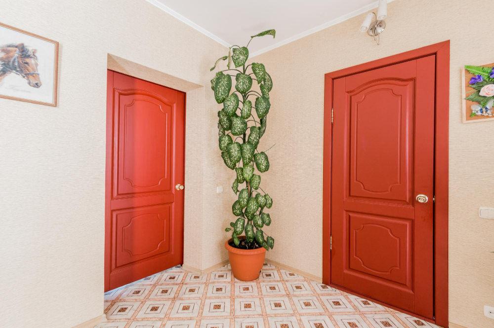  peinture d'une porte en bois intérieur durable et esthétique